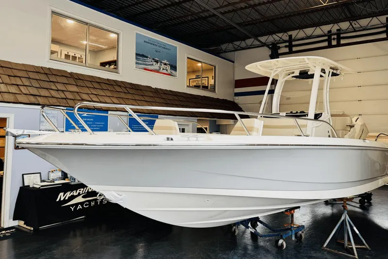 Slide: The Image of Boston Whaler 250 Dauntless 2025 - 2