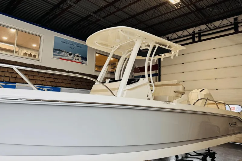 Slide: The Image of Boston Whaler 250 Dauntless 2025 - 3