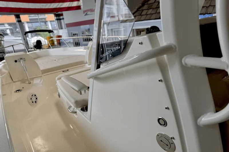 Slide: The Image of Boston Whaler 250 Dauntless 2025 - 30