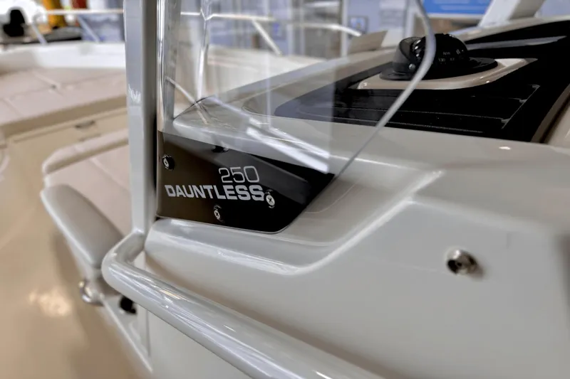 Slide: The Image of Boston Whaler 250 Dauntless 2025 - 31
