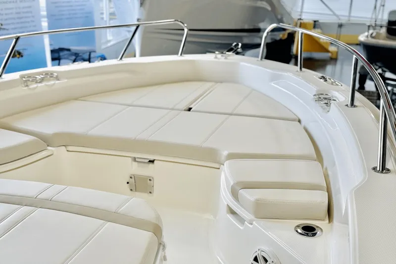Slide: The Image of Boston Whaler 250 Dauntless 2025 - 45