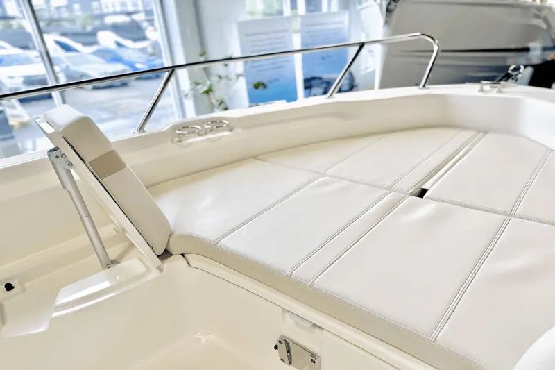 Slide: The Image of Boston Whaler 250 Dauntless 2025 - 47