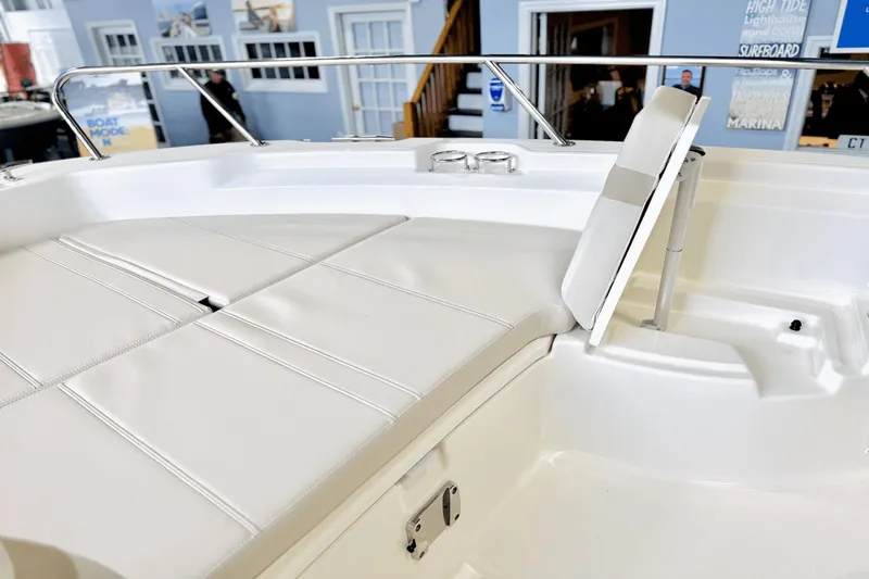 Slide: The Image of Boston Whaler 250 Dauntless 2025 - 48