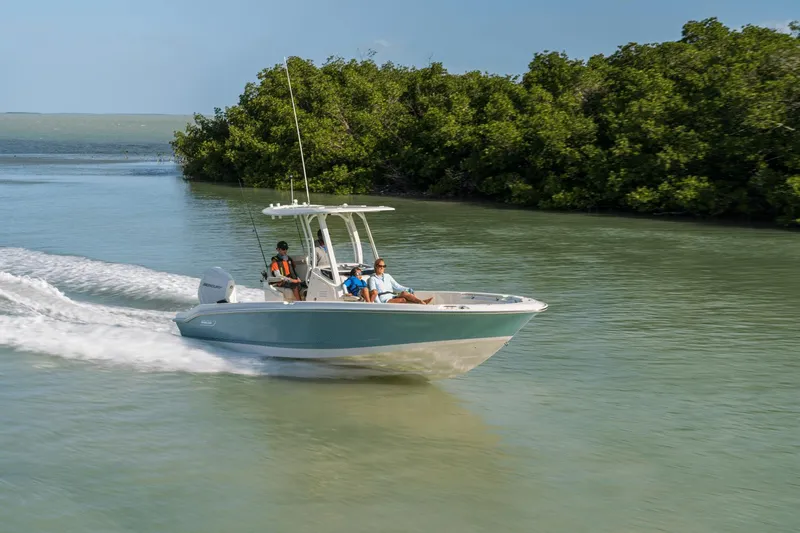 Slide: The Image of Boston Whaler 250 Dauntless 2025 - 51