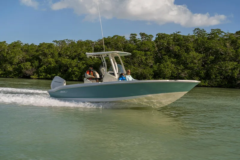 Slide: The Image of Boston Whaler 250 Dauntless 2025 - 58