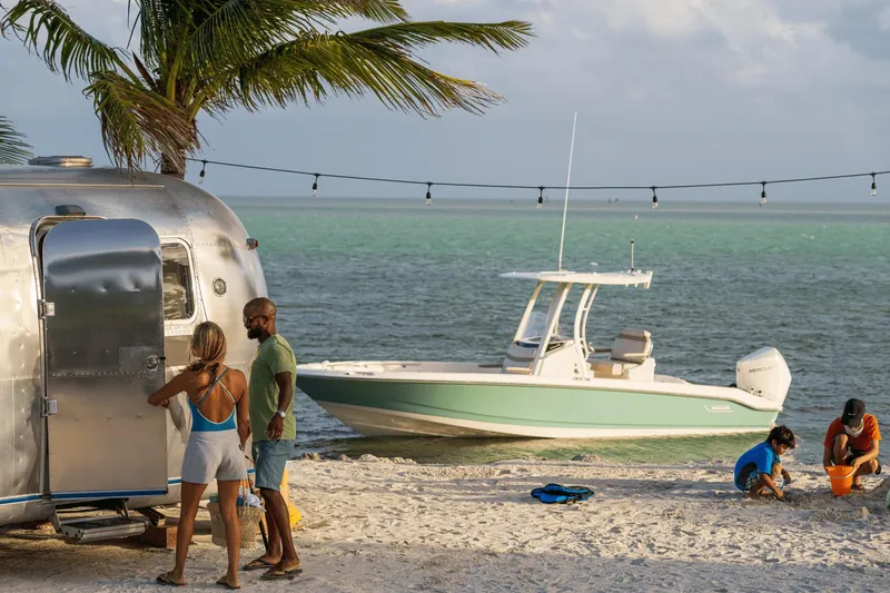 Slide: The Image of Boston Whaler 250 Dauntless 2025 - 62