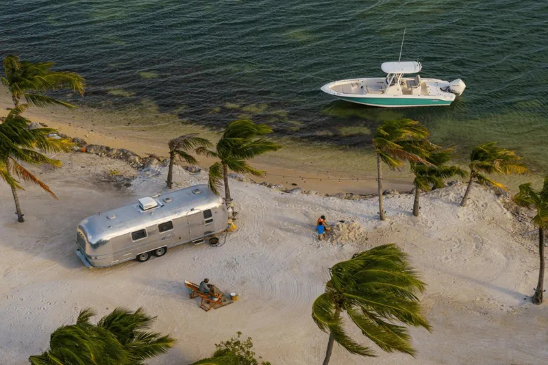Slide: The Image of Boston Whaler 250 Dauntless 2025 - 94