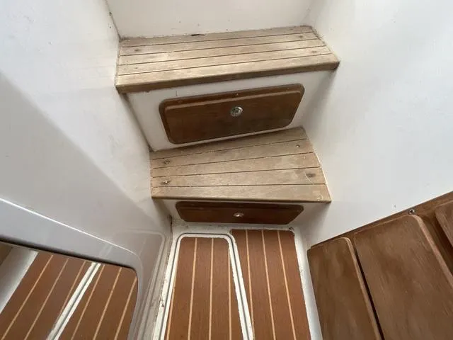 Slide: The Image of Contender 36 Fish Around 2006 - 21