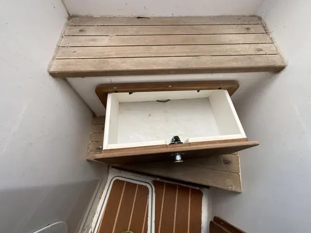 Slide: The Image of Contender 36 Fish Around 2006 - 22