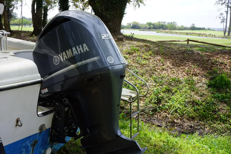 Slide: The Image of Edgewater 225CC boat with Yamaha outboard motor, 2002 model, near a grassy lakeside area. - 9