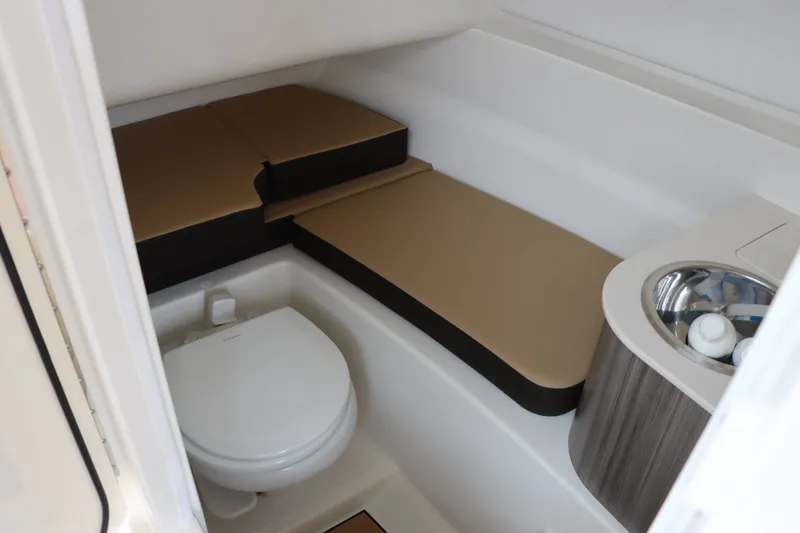 Slide: The Image of Sea Ray 250SDX 2025 - 12