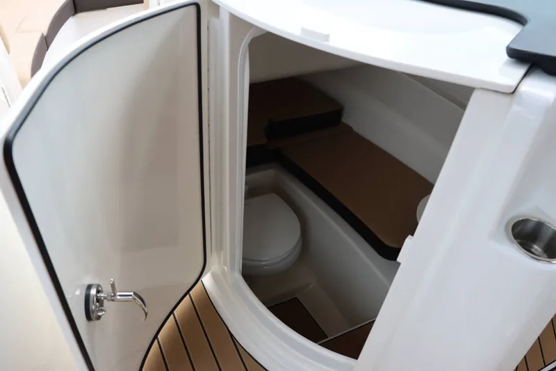 Slide: The Image of Sea Ray 250SDX 2025 - 13