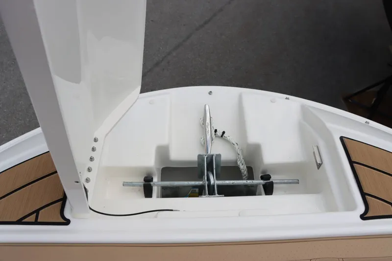 Slide: The Image of Sea Ray 250SDX 2025 - 19