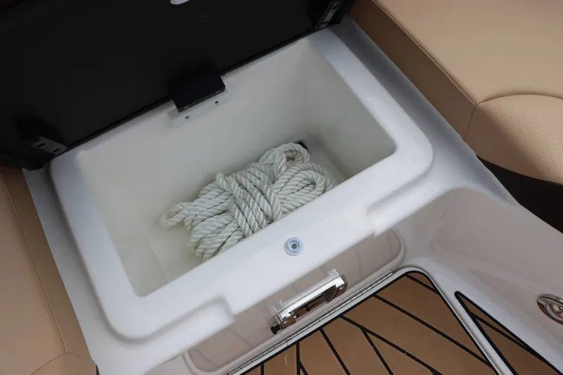 Slide: The Image of Sea Ray 250SDX 2025 - 20