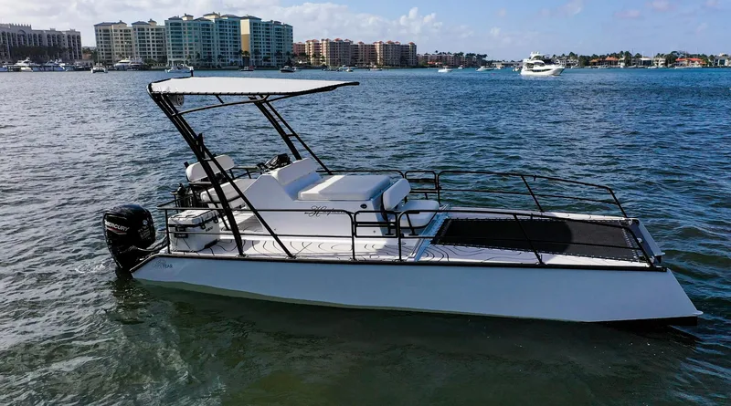 Slide: The Image of 2025 Pontoon Harpoon boat on water with city skyline in background. - 8