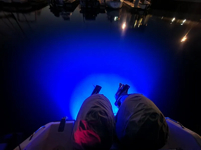 Slide: The Image of Person sitting on a 2005 Grady-White Bimini 306 boat, illuminated by blue underwater lights. - 47