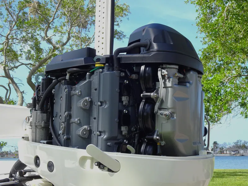 Slide: The Image of 2019 Blazer Bay 2400 outboard motor, detailed view with trees and water in the background. - 27