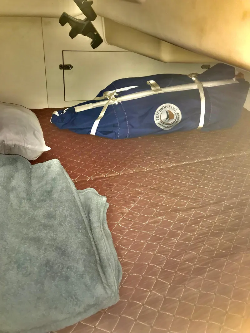 Slide: The Image of 2009 Hunter 310 cabin interior with bedding and a blue sail bag. - 21
