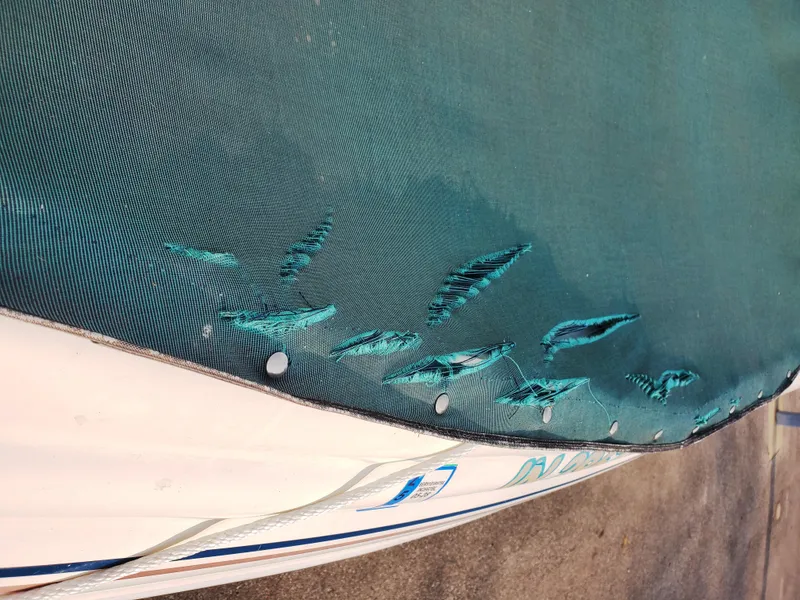 Slide: The Image of Damaged cover on 1998 Sea Ray 210 Sundeck boat, showing tears and wear. - 28