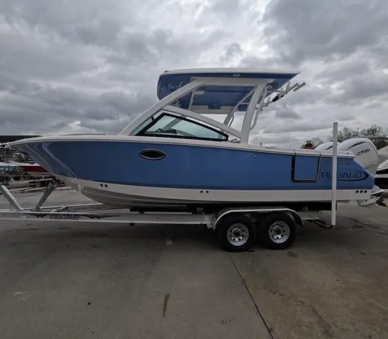 Slide: The Image of 2025 Robalo 257 Dual Console boat on trailer under cloudy sky. - 5