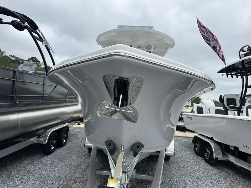 Slide: The Image of Sea Pro 262 DLX 2025 - 4