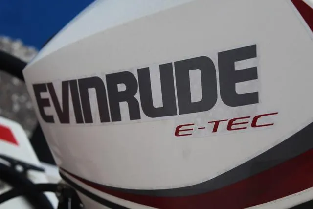 Slide: The Image of Craig Cat E2 CRAIG ELITE 2018 - 10