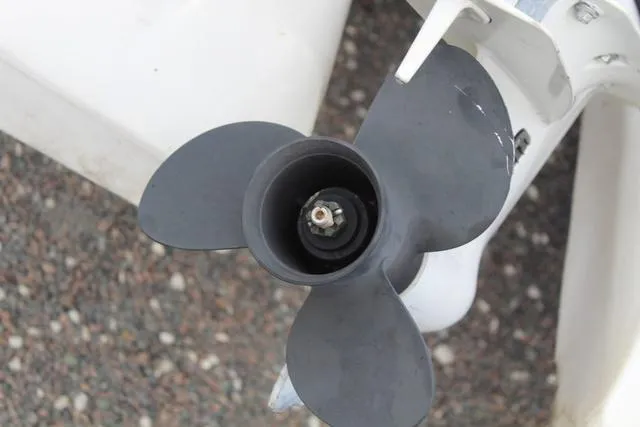 Slide: The Image of Craig Cat E2 CRAIG ELITE 2018 - 13