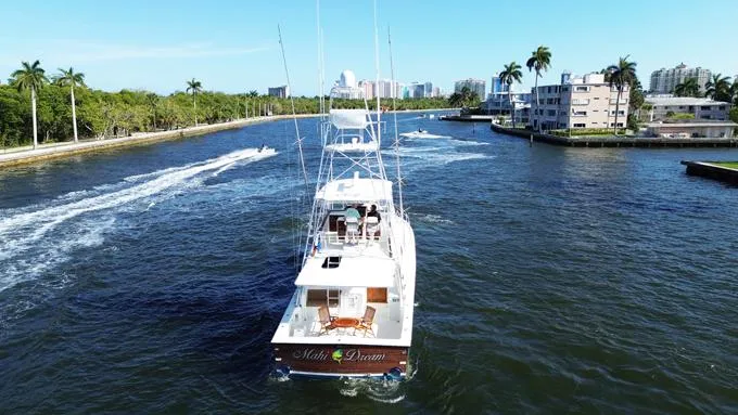 Slide: The Image of Alt. Profile - 94