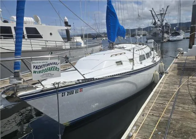 Slide: The Image of 1984 Newport 33 sailboat docked at marina with blue sails and Yachtfinders Windseakers sign. - 1