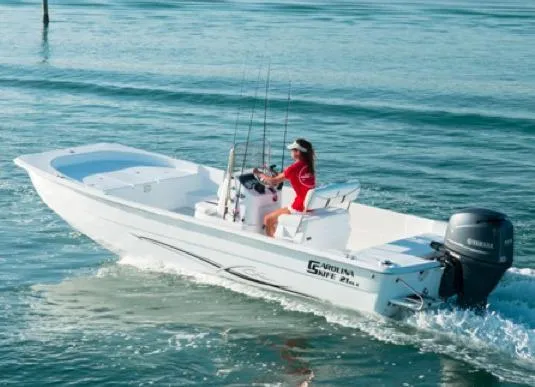 Slide: The Image of Manufacturer Provided Image - 17