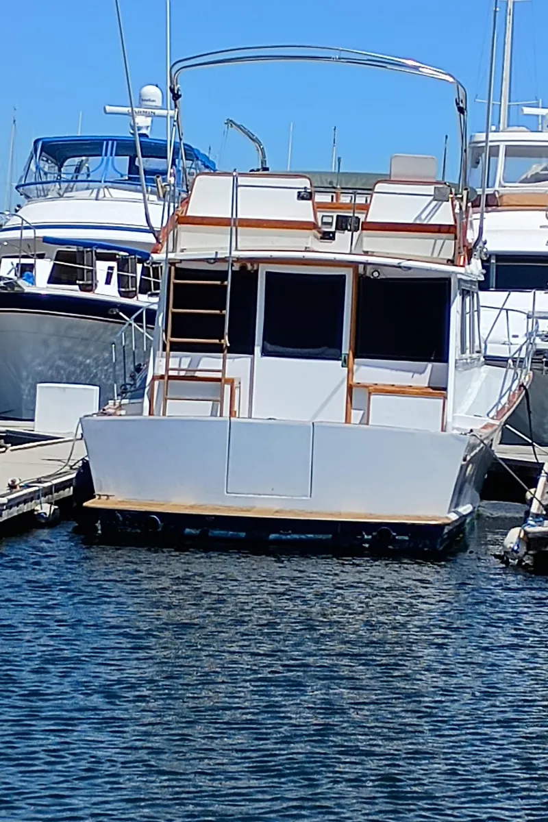 Slide: The Image of Pacific Bluefin SPF 1978 - 52