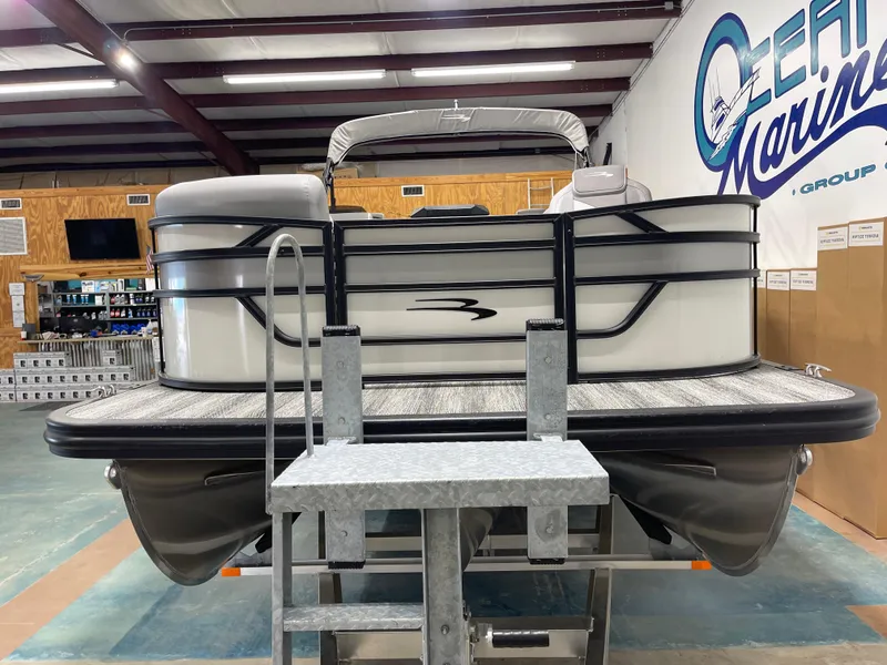 Slide: The Image of Bennington 22SSRSE 2025 - 3