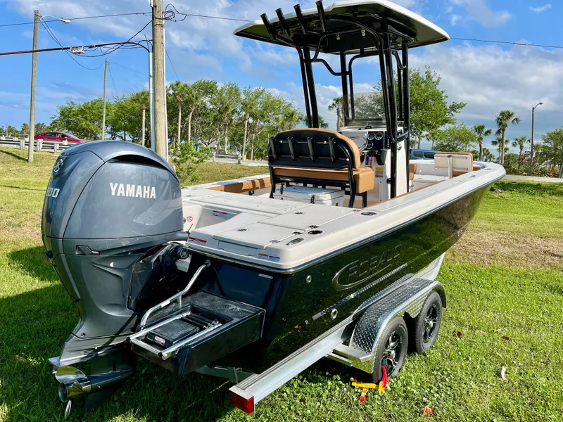 Slide: The Image of 2025 Robalo 226 Cayman boat on trailer with Yamaha engine, parked on grass. - 8