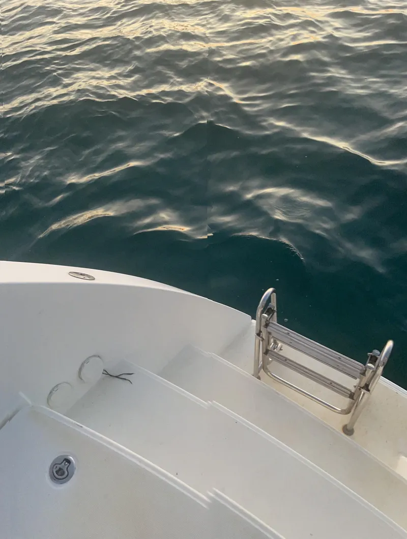 Slide: The Image of Lagoon 450 F yacht deck with ladder, 2016 model, overlooking calm sea waters. - 43