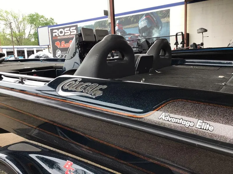 Slide: The Image of Bass Cat Cougar Advantage 2013 - 3