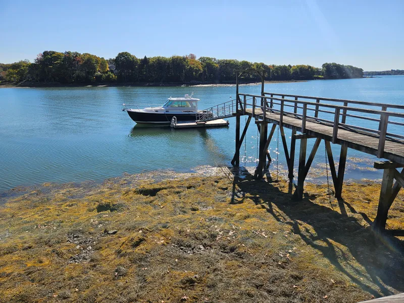 Slide: The Image of 2008 Back Cove 33 Express boat docked by a wooden pier on a sunny day. - 41
