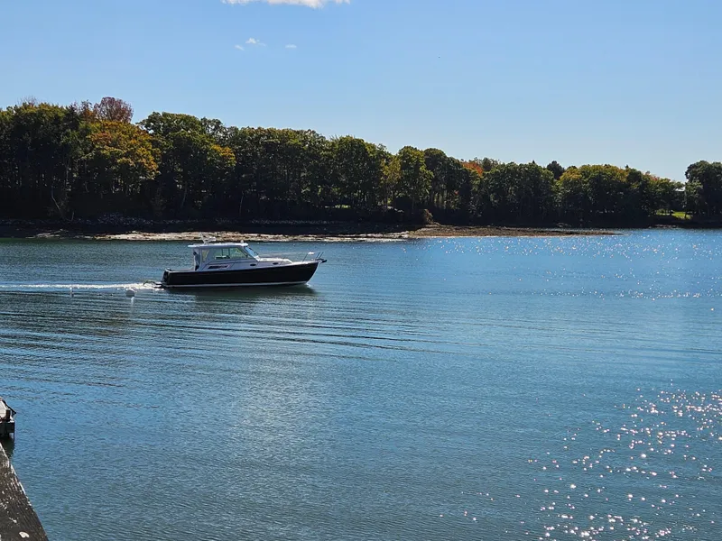 Slide: The Image of 2008 Back Cove 33 Express cruising on a serene lake with a forested shoreline. - 9