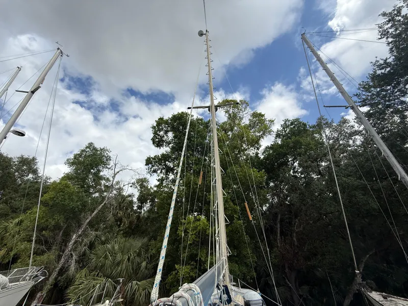 Slide: The Image of Sailboat masts against a cloudy sky, surrounded by lush green trees. - 16