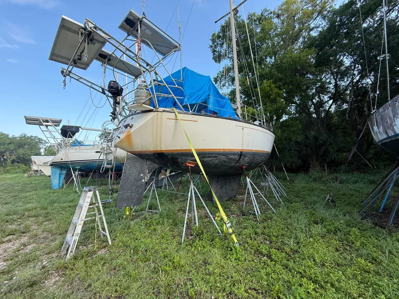 Slide: The Image of 1981 S2 11A sailboat on stands, covered with a blue tarp, in a grassy area. - 18