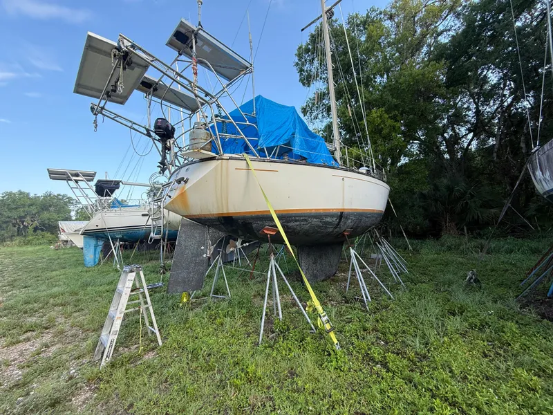 Slide: The Image of 1981 S2 11A sailboat on stands, covered with a blue tarp, in a grassy area. - 19