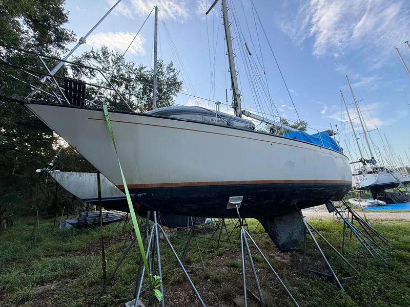 Slide: The Image of 1981 S2 11A sailboat on stands, surrounded by trees and other boats, under a blue sky. - 27