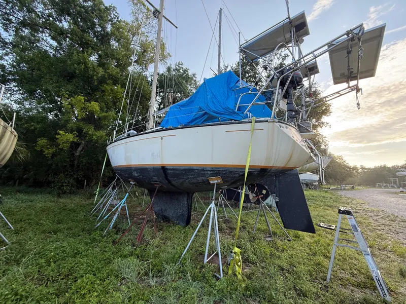 Slide: The Image of 1981 S2 11A sailboat on stands, covered with a blue tarp, surrounded by greenery. - 30