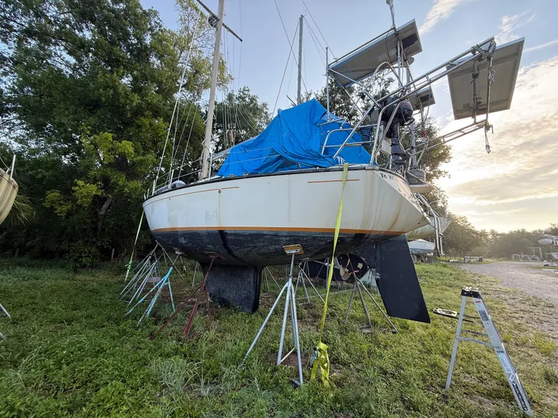 Slide: The Image of 1981 S2 11A sailboat on stands, covered with blue tarp, surrounded by trees. - 31
