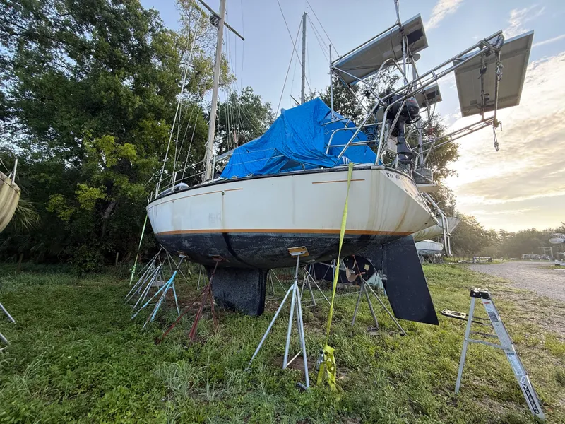 Slide: The Image of 1981 S2 11A sailboat on land, covered with a blue tarp, surrounded by trees. - 32