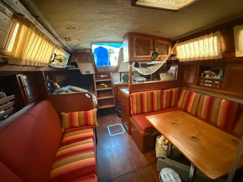 Slide: The Image of S2 11A 1981 - 51