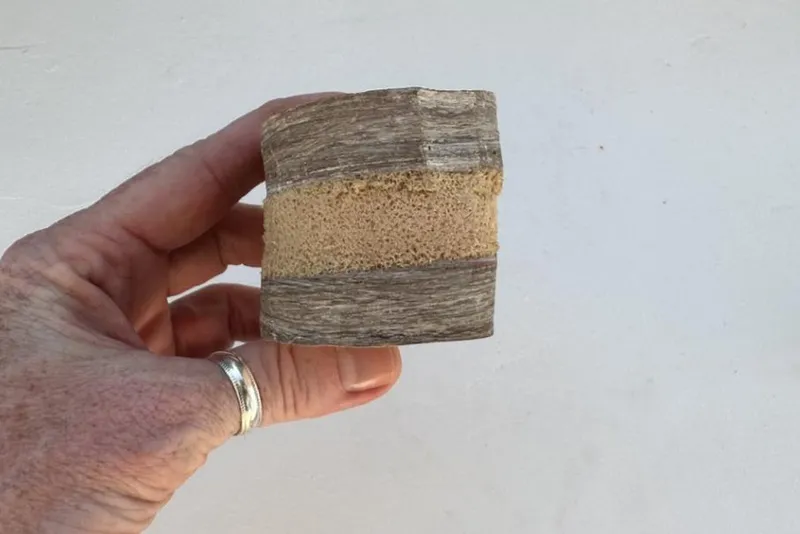 Slide: The Image of Custom 53 Catamaran 1972 - 53