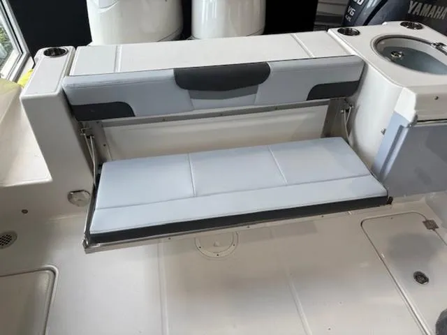 Slide: The Image of Robalo R257 Dual Console 2025 - 11