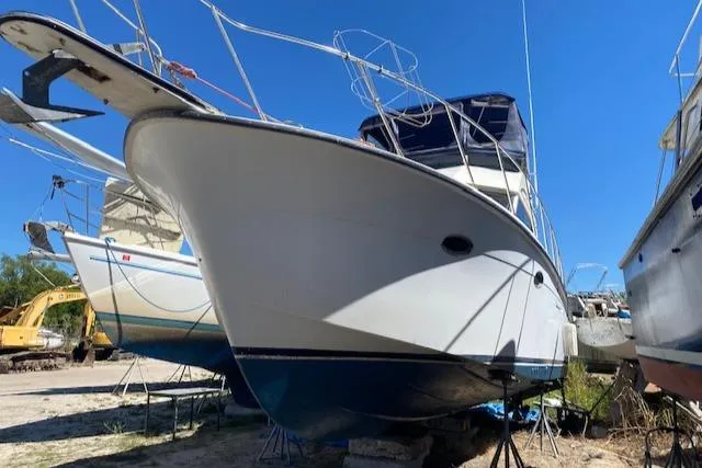 The Image of 1987 President 36 boat on dry dock, blue and white hull, clear sky background. - 0