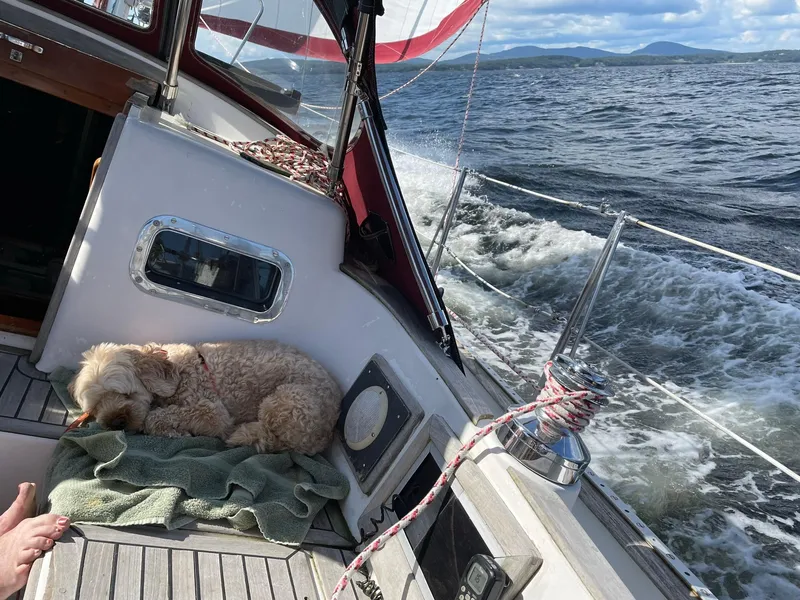 Slide: The Image of Cabo Rico 38XL 1988 - 91