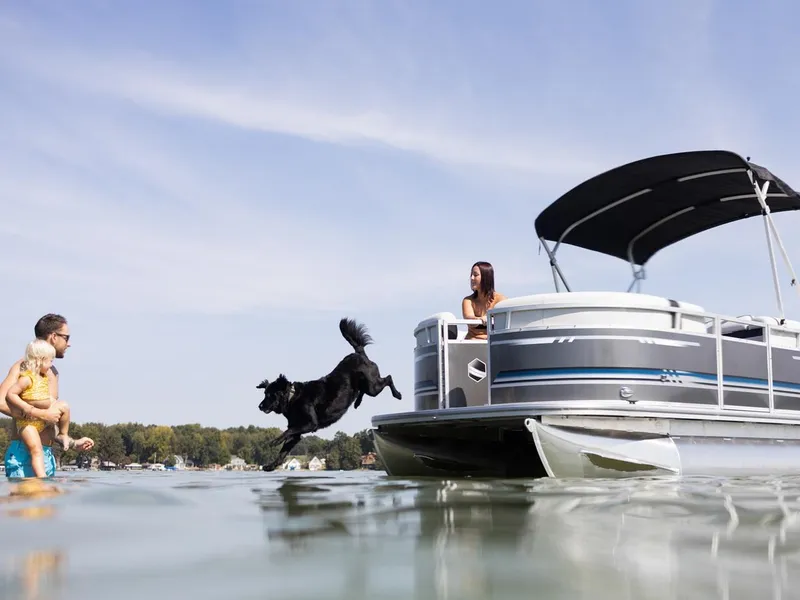 Slide: The Image of A dog jumps from a 2025 South Bay 18CR SE S Cruise pontoon boat into the water. - 25